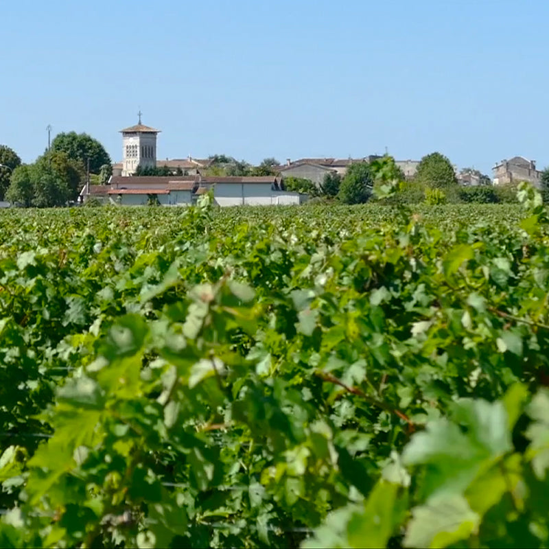 Château Laronde Desormes, Bordeaux Supérieur 2011