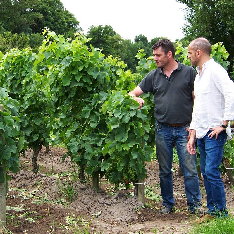 Château de Valois, Pomerol Vignobles Leydet 2018