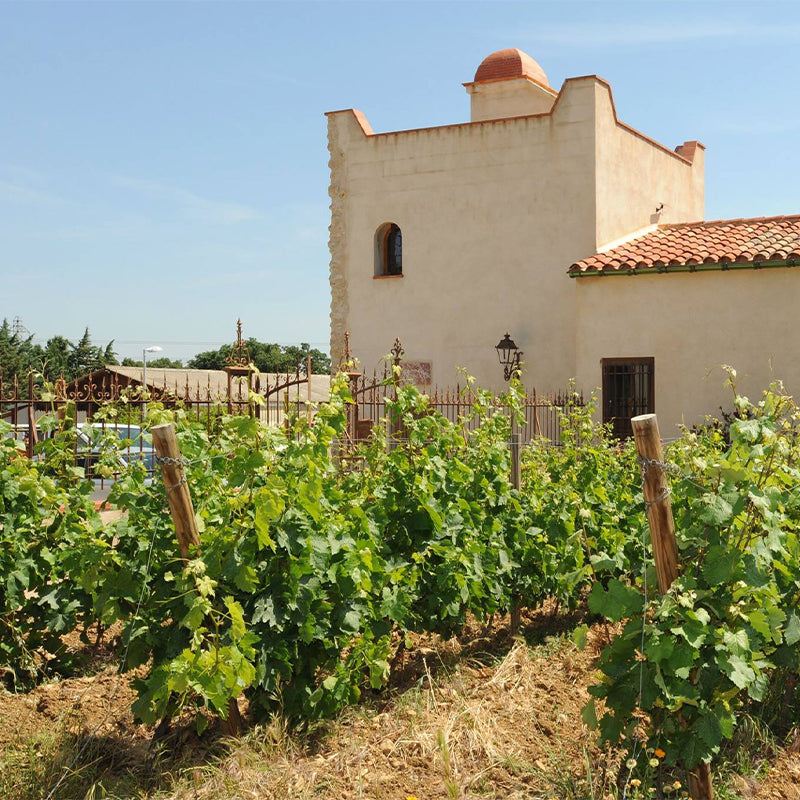 Domaine Rossignol-Février, Volnay Premier Cru, Robardelle 2019