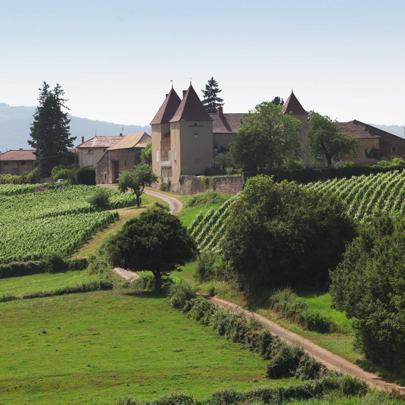 Domaine de La Tour Penet, Mâcon-Péronne 2023