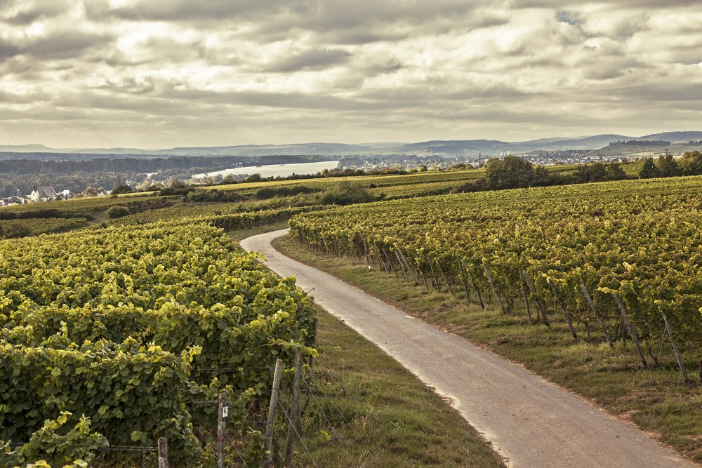 Kaufmann Rheingau Riesling Kabinett 2022