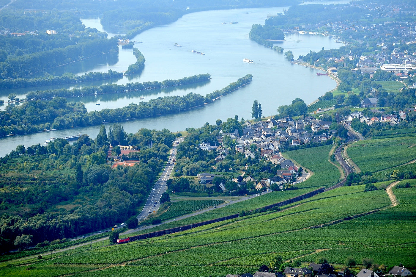 Weingut Kaufmann: From Swiss Cheese Master to Biodynamic Pioneer in the Rheingau