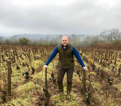 Domaine Arnaud Baillot Bourgogne La Montagne 2022