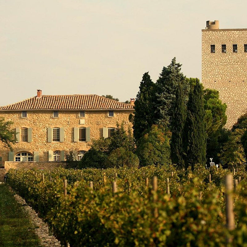 Brunel de la Gardine Organic. Le Petit Maxime AOP Côtes du Rhône 2022 Red Wine