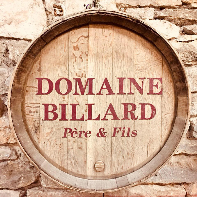 Domaine Billard Père et Fils, Hautes-Côtes de Beaune 2021, White