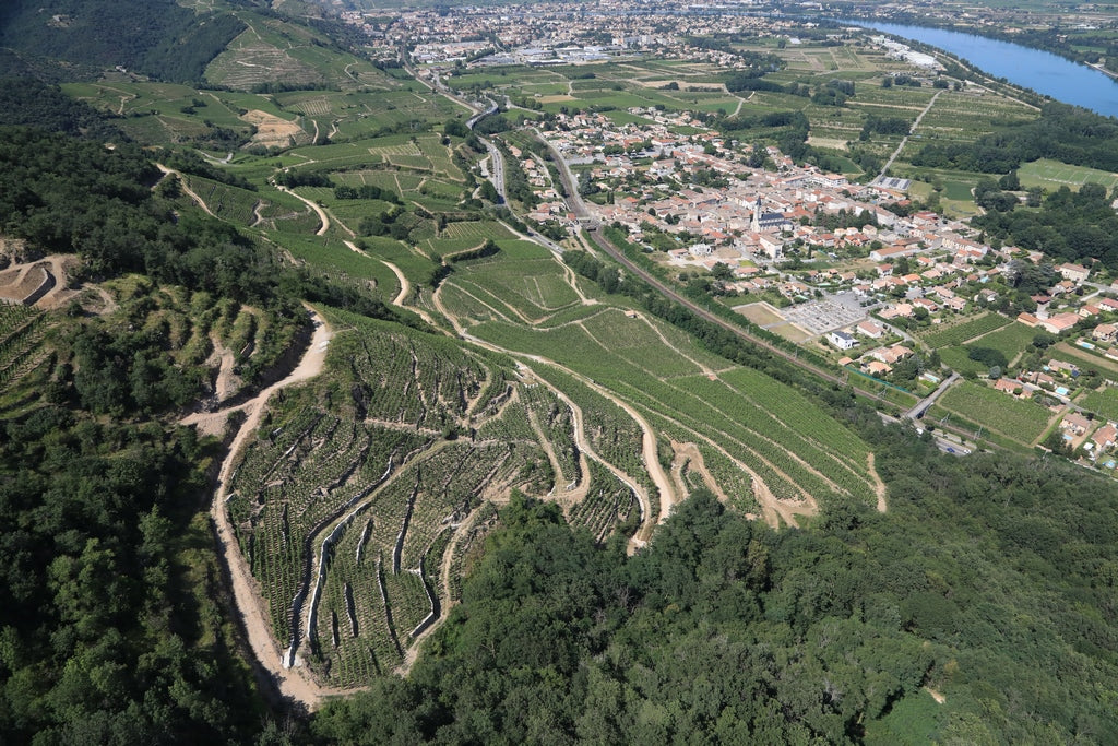 Saint-Joseph AOC, Northern Rhône, Domaine Coursodon Silice Blanc 2025