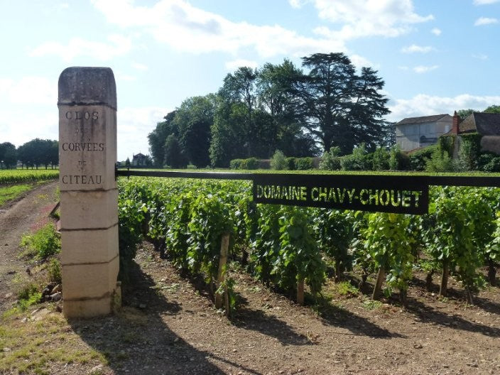 Domaine Chavy-Chouet Bourgogne Meursault Les Casse-Têtes