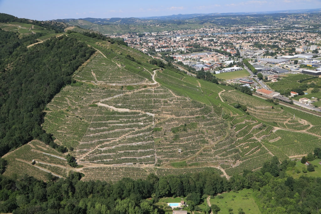 Saint-Joseph AOC, Northern Rhône, Domaine Coursodon Silice Blanc 2025